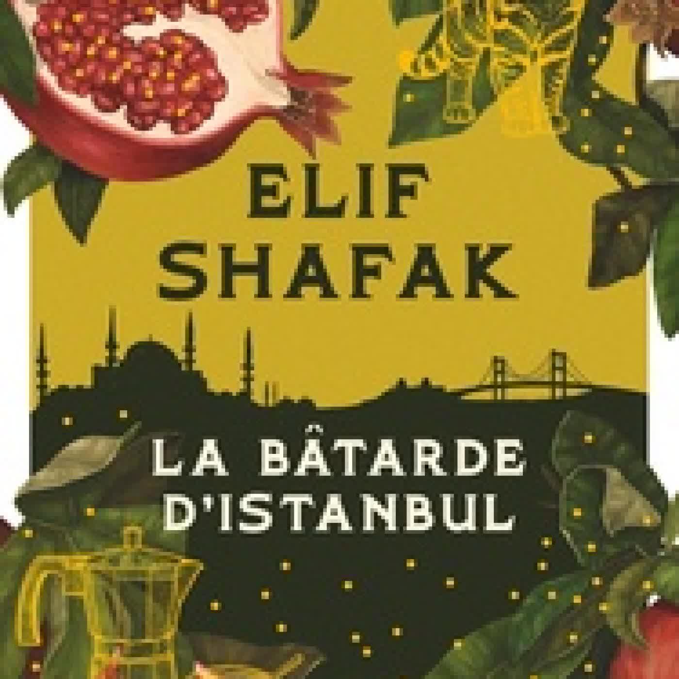 {téléchargement} La bâtarde d'Istanbul