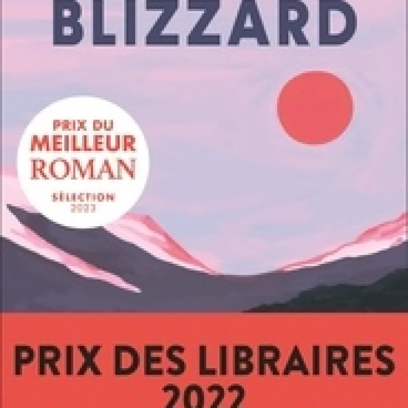 Télécharger Pdf Blizzard