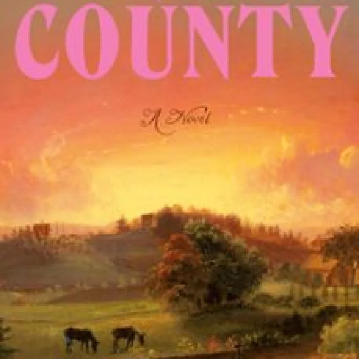 FAIRFIELD COUNTY DÉLANA R. A. DAMERON
