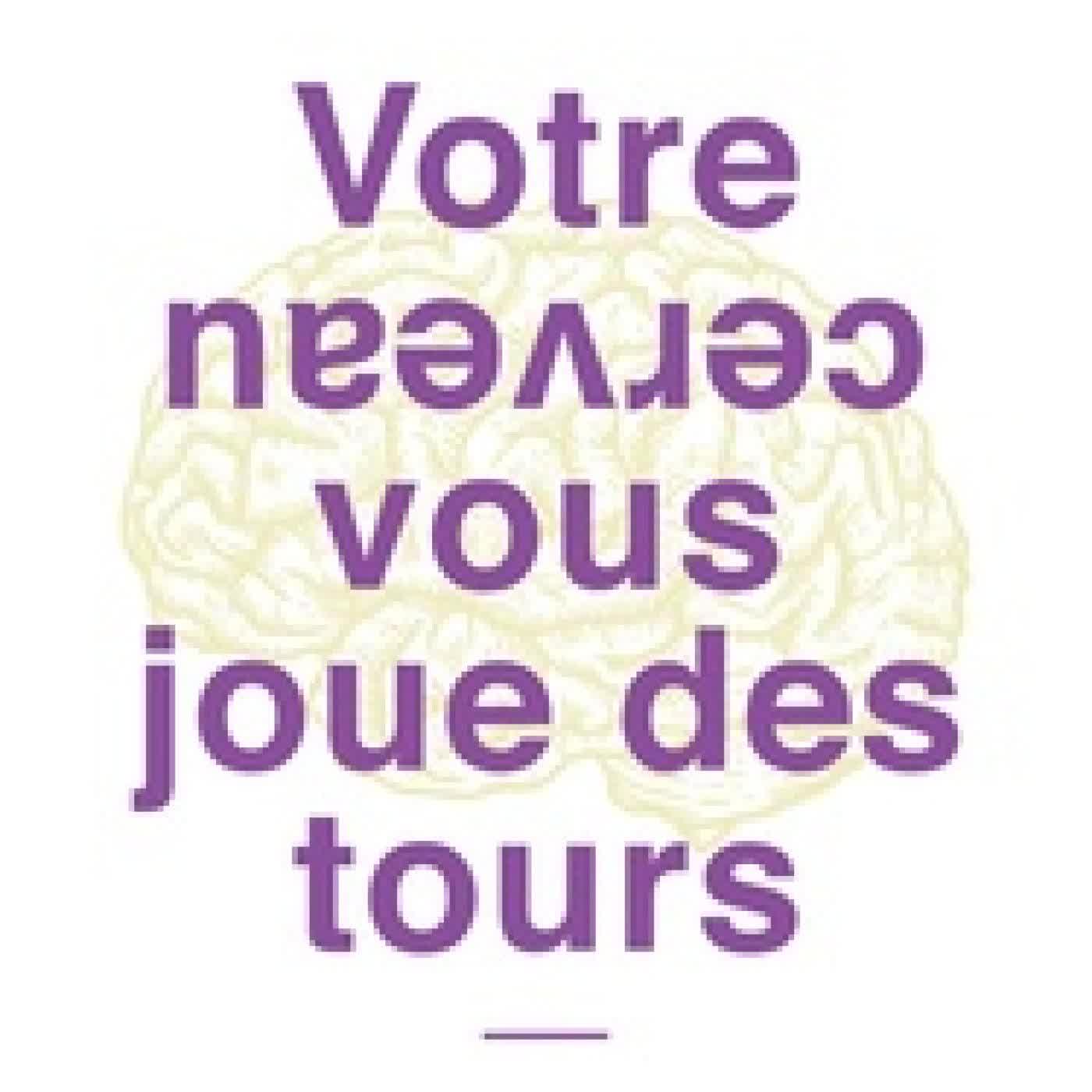 Lire en ligne : Votre cerveau vous joue des tours