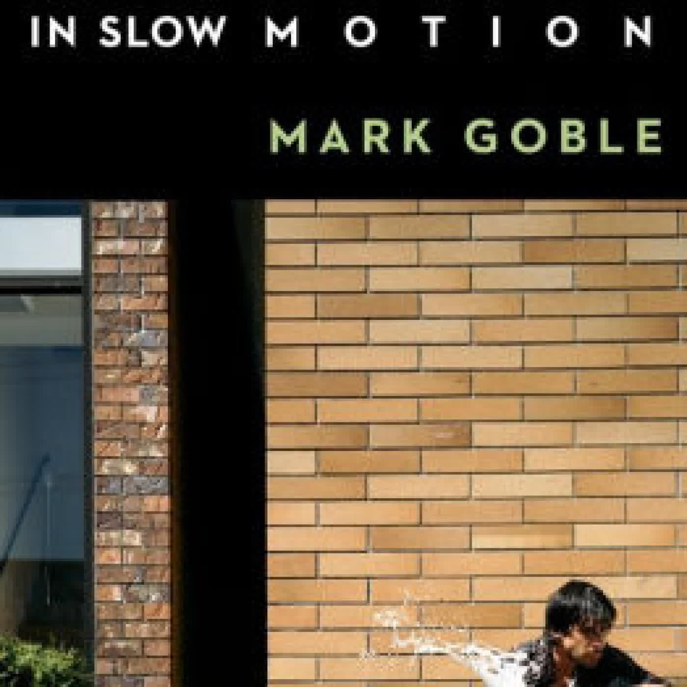 Read online: Downtime: The Twentieth Century in Slow Motion by Mark Goble