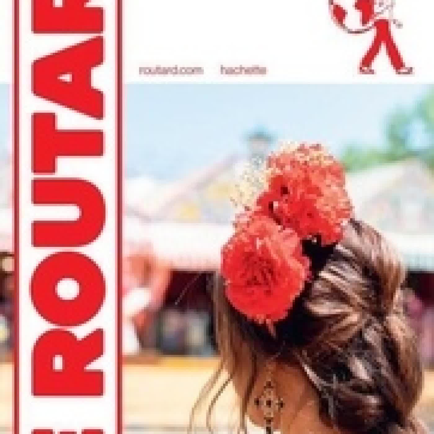 Lire en ligne : Guide du Routard Séville 2025/26