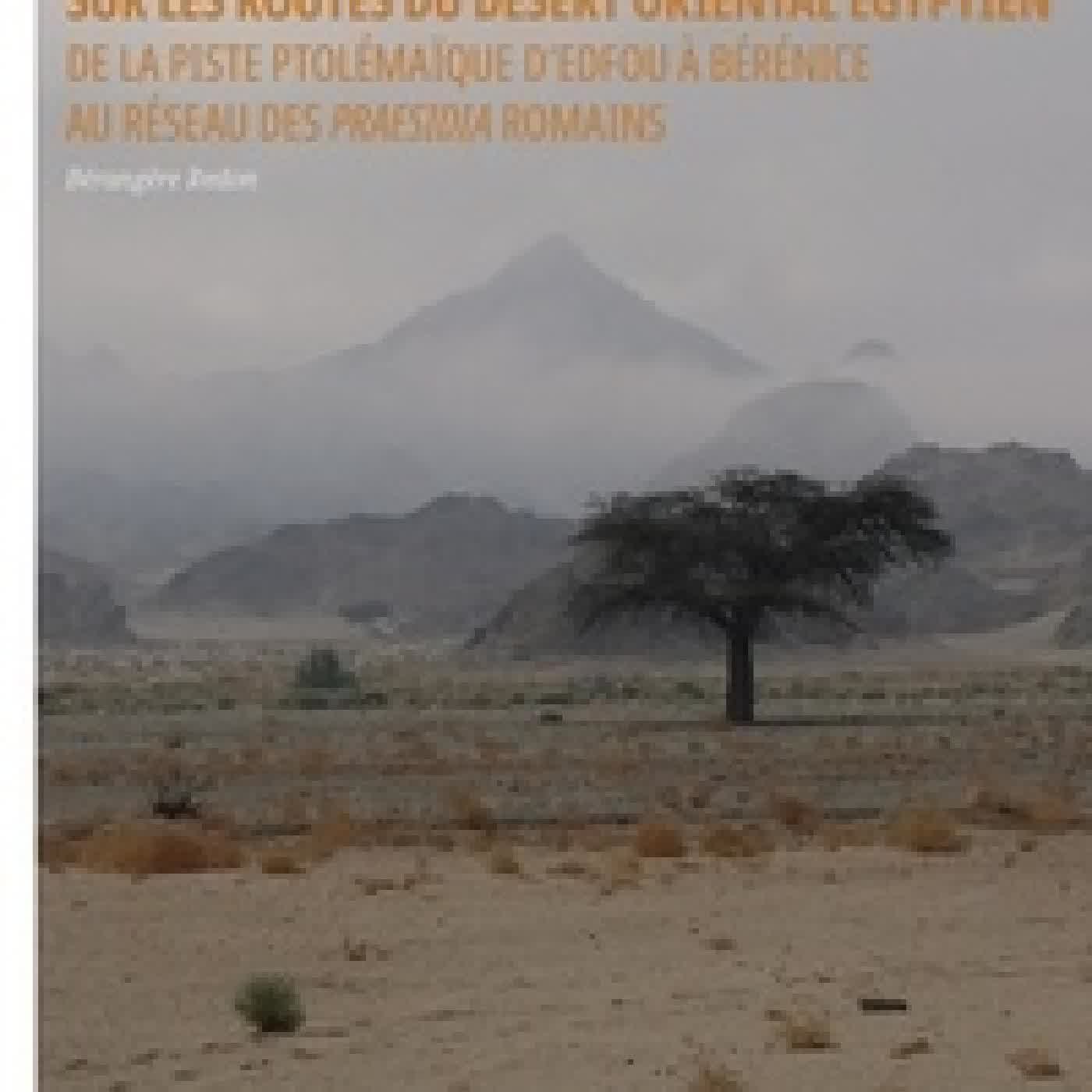 {téléchargement} Sur les routes du désert oriental égyptien. De la piste ptolémaïque d'Edfou à Bérénice au réseau des praesidia romains