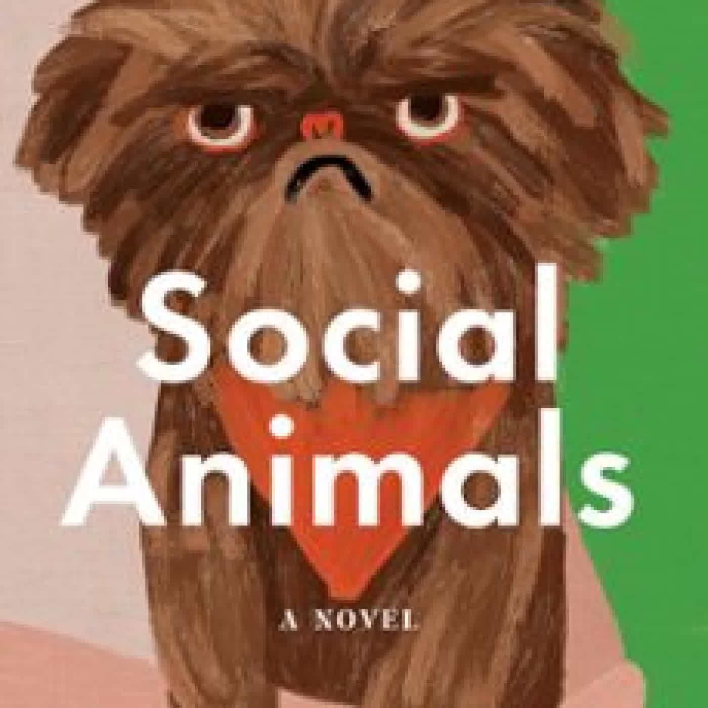 SOCIAL ANIMALS CAMILLE PERRI