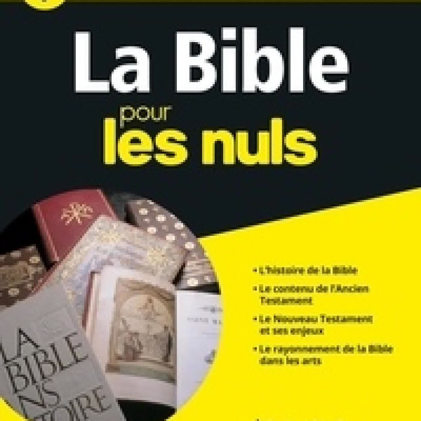 Télécharger Pdf La Bible Pour les Nuls