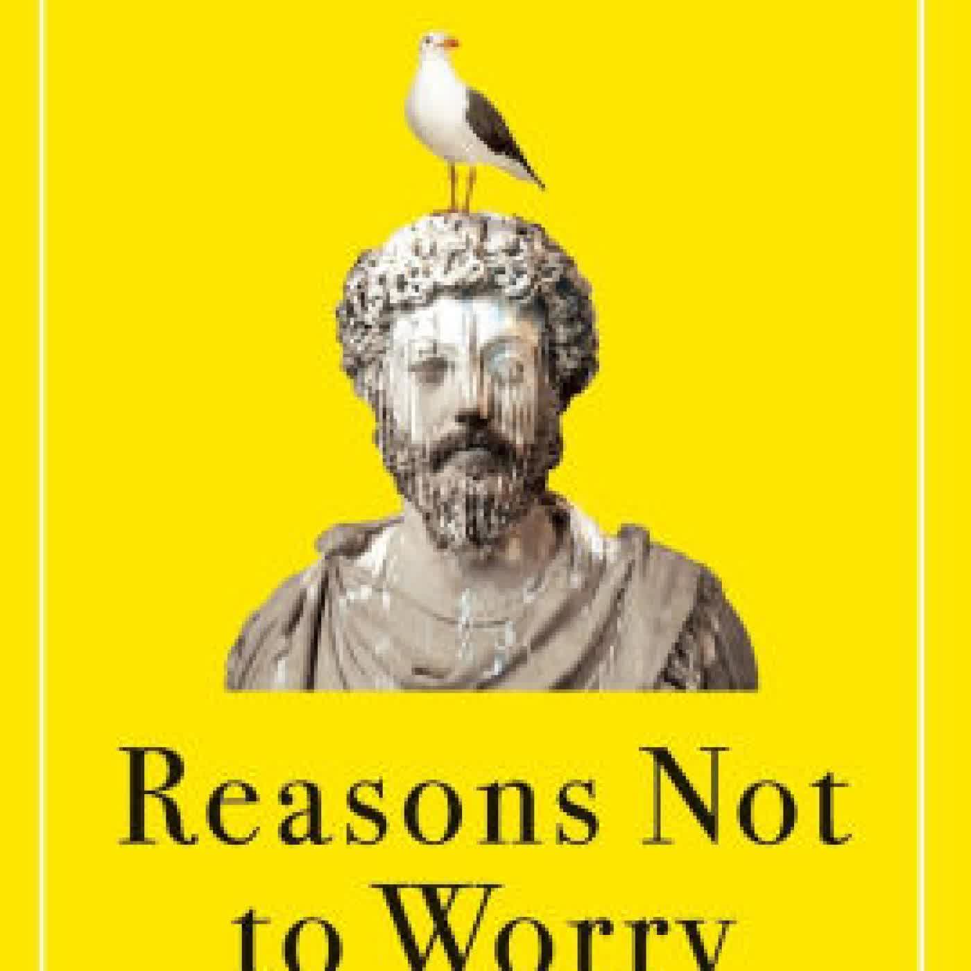 Reasons Not to Worry: How to Be Stoic in Chaotic Times by Brigid Delaney on Iphone New Format