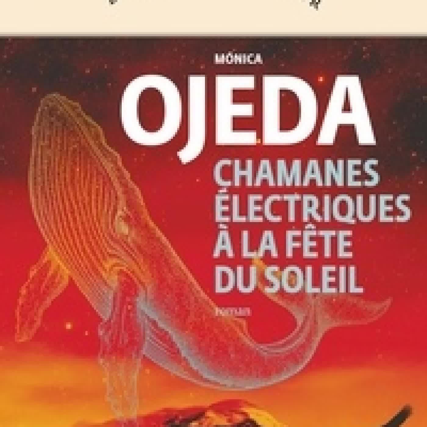 Télécharger Pdf Chamanes électriques à la fête du Soleil