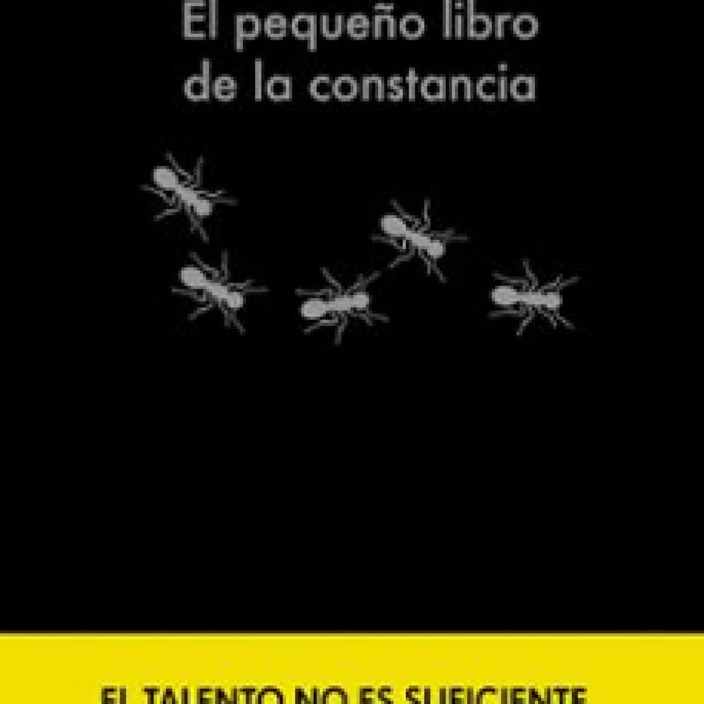 EL PEQUEÑO LIBRO DE LA CONSTANCIA AMAGOIA EIZAGUIRRE
