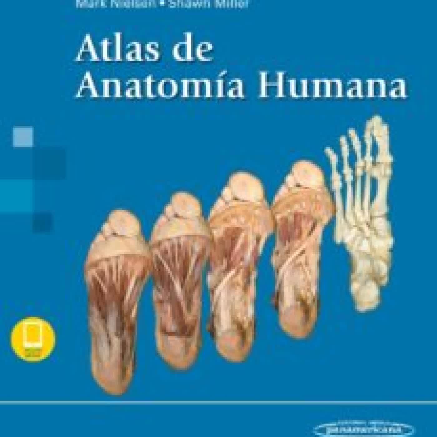 ATLAS DE ANATOMÍA HUMANA MARK NIELSEN, SHAWN MILLER