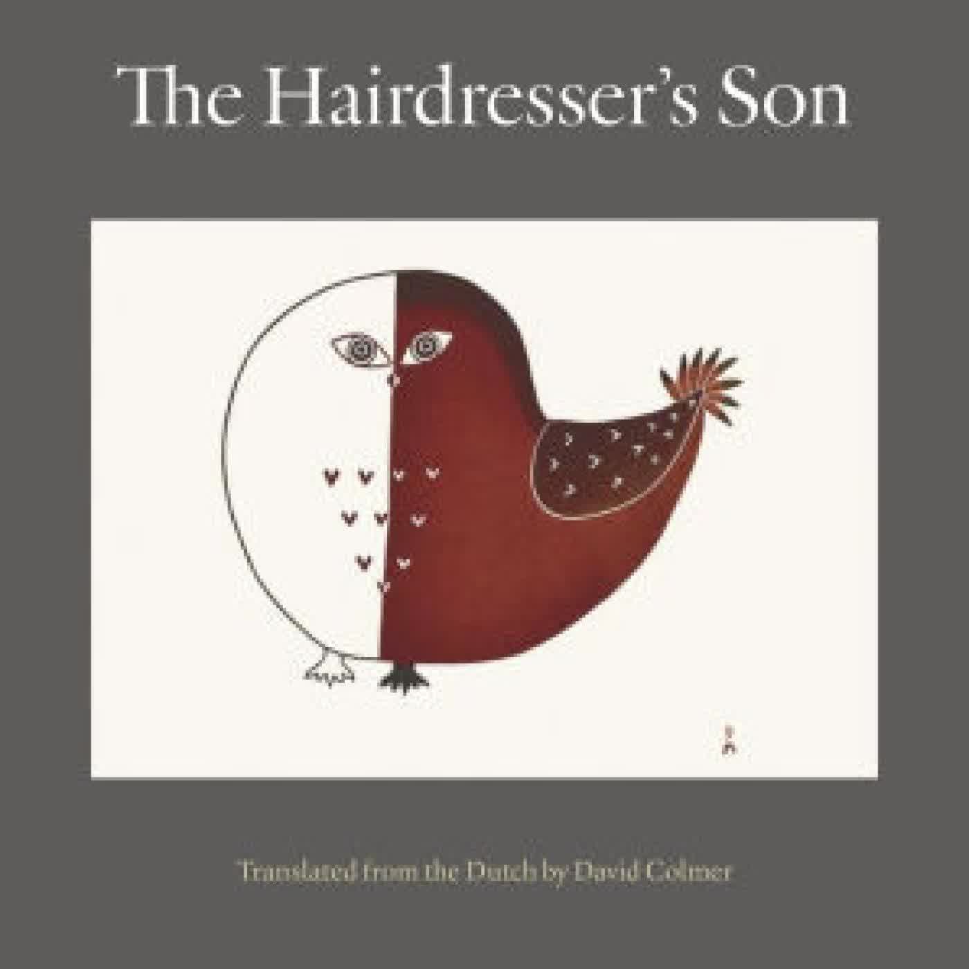 Read online: The Hairdresser's Son by Gerbrand Bakker, David Colmer