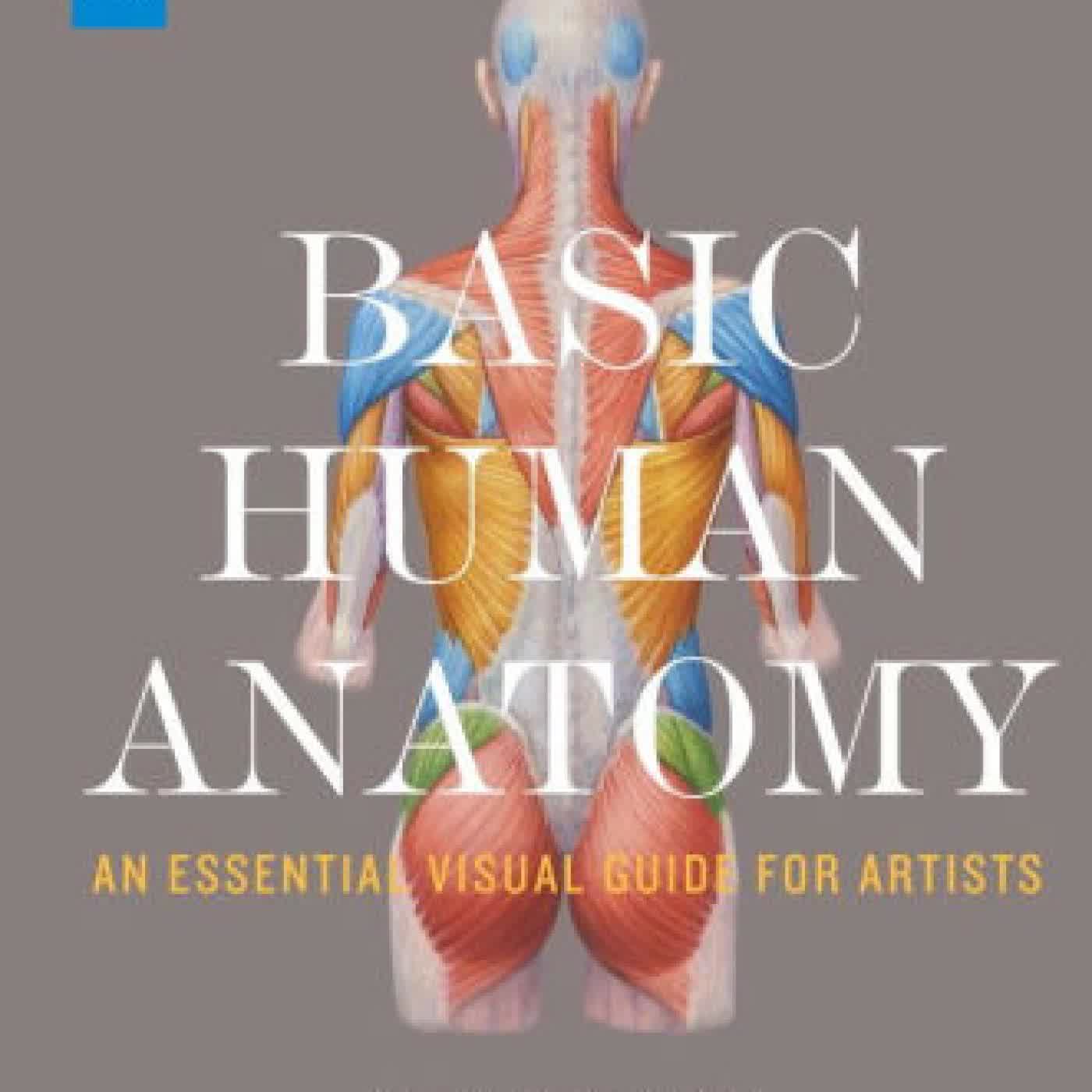 Basic Human Anatomy: An Essential Visual Guide for Artists by Roberto Osti on Iphone New Format
