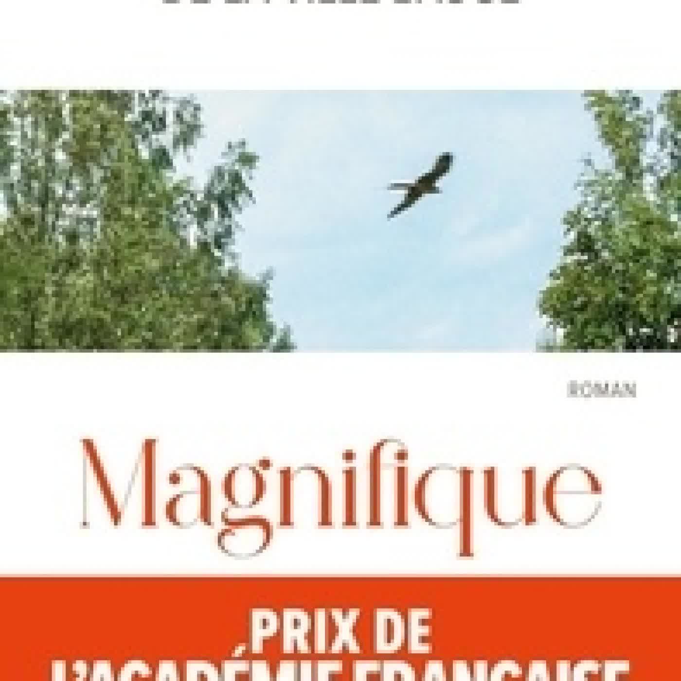 Lire en ligne : Magnifique