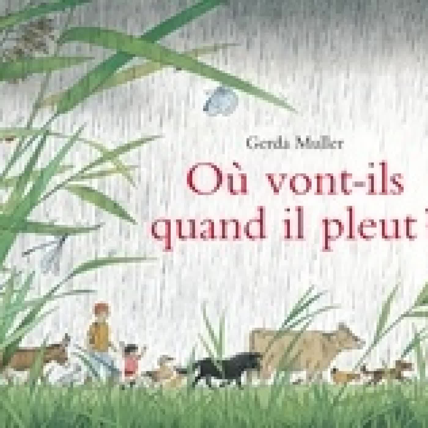 {téléchargement} Où vont-ils quand il pleut ?