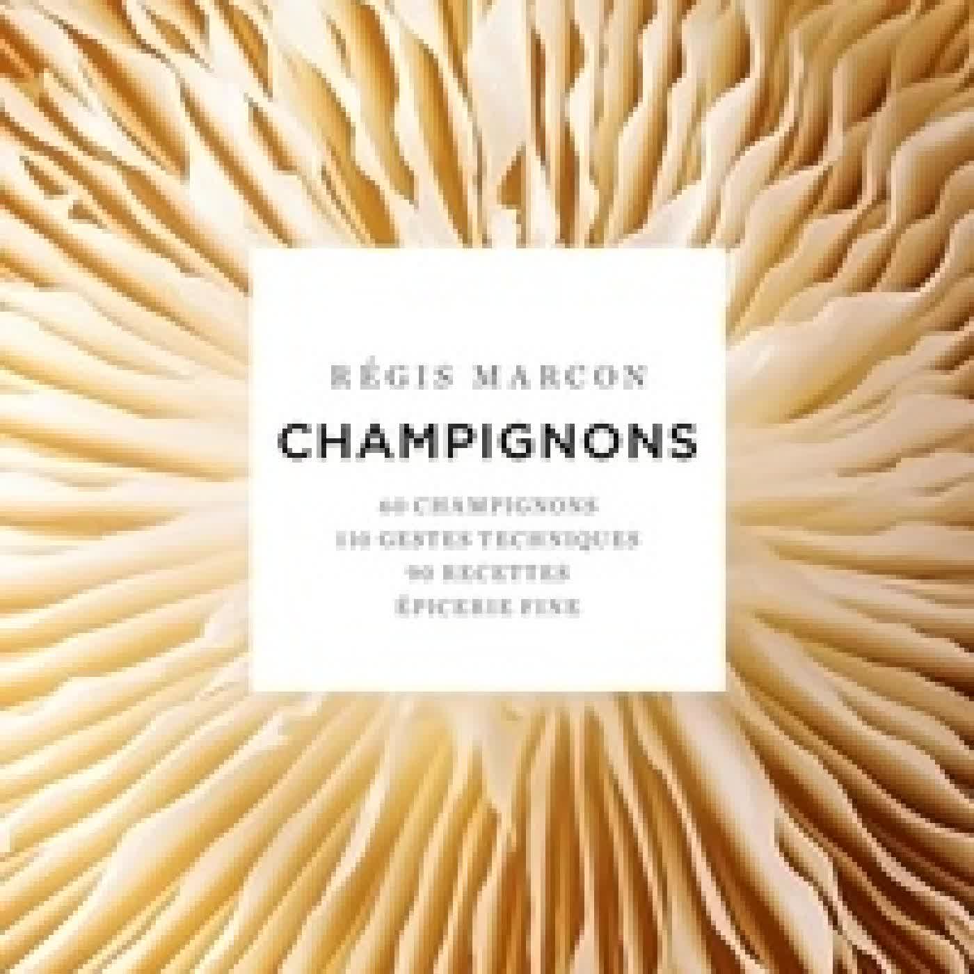Télécharger Pdf Champignons