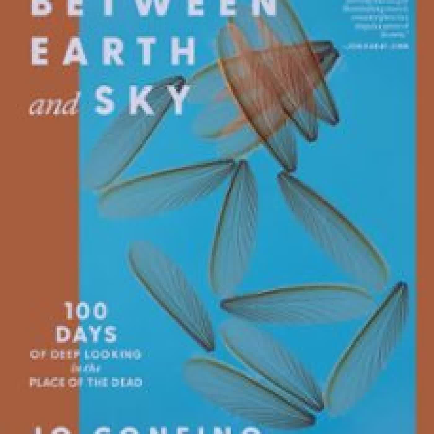 BETWEEN EARTH AND SKY JO CONFINO