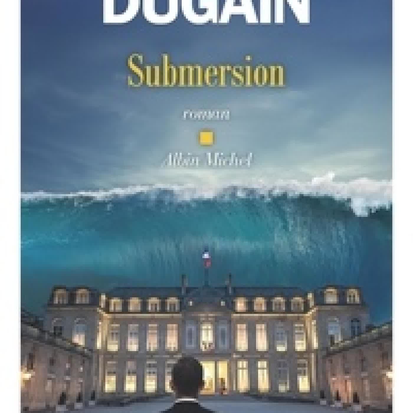 Télécharger Pdf Submersion