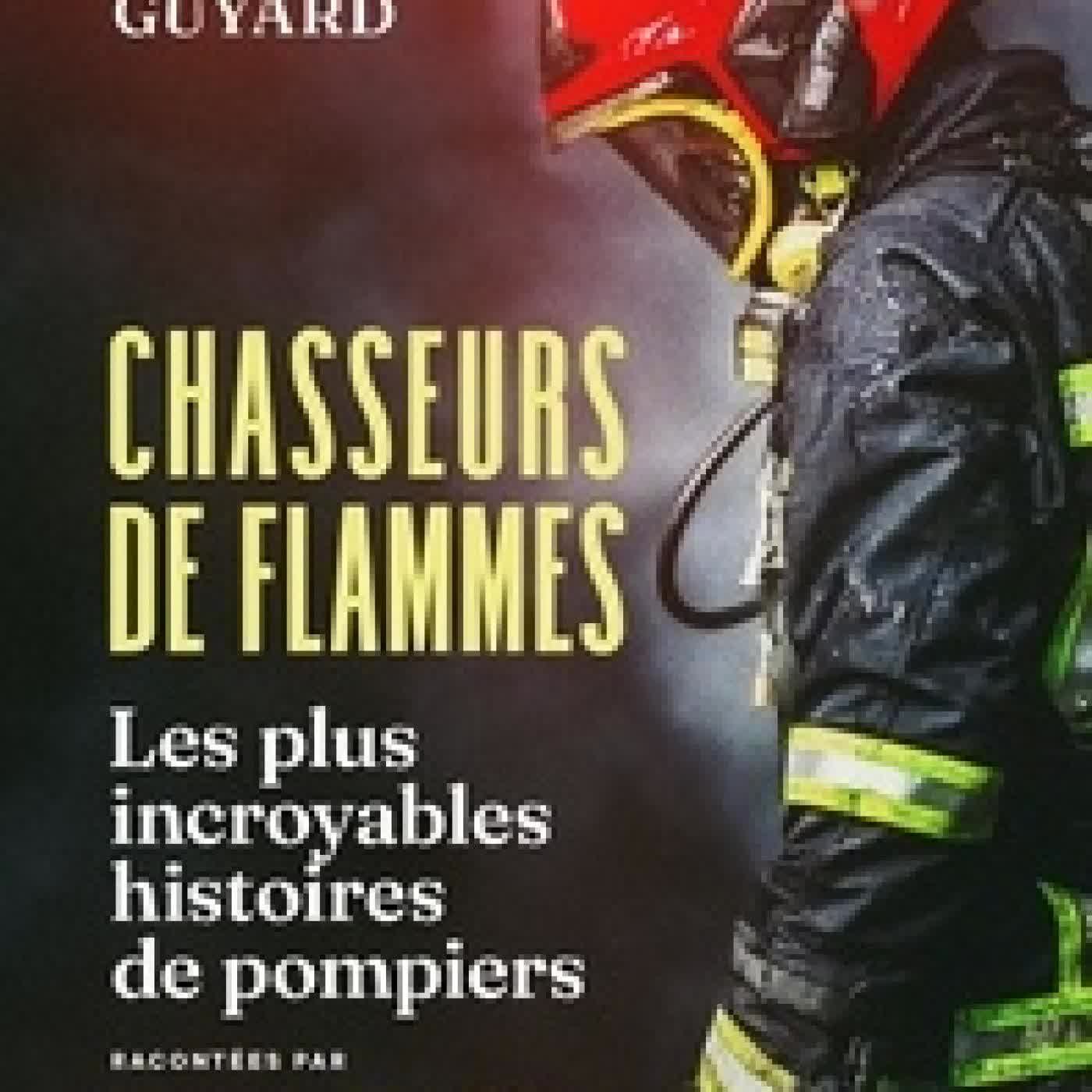 Télécharger Pdf Chasseurs de flammes. Les plus incroyables histoires de pompiers racontées par Vincent Firelife