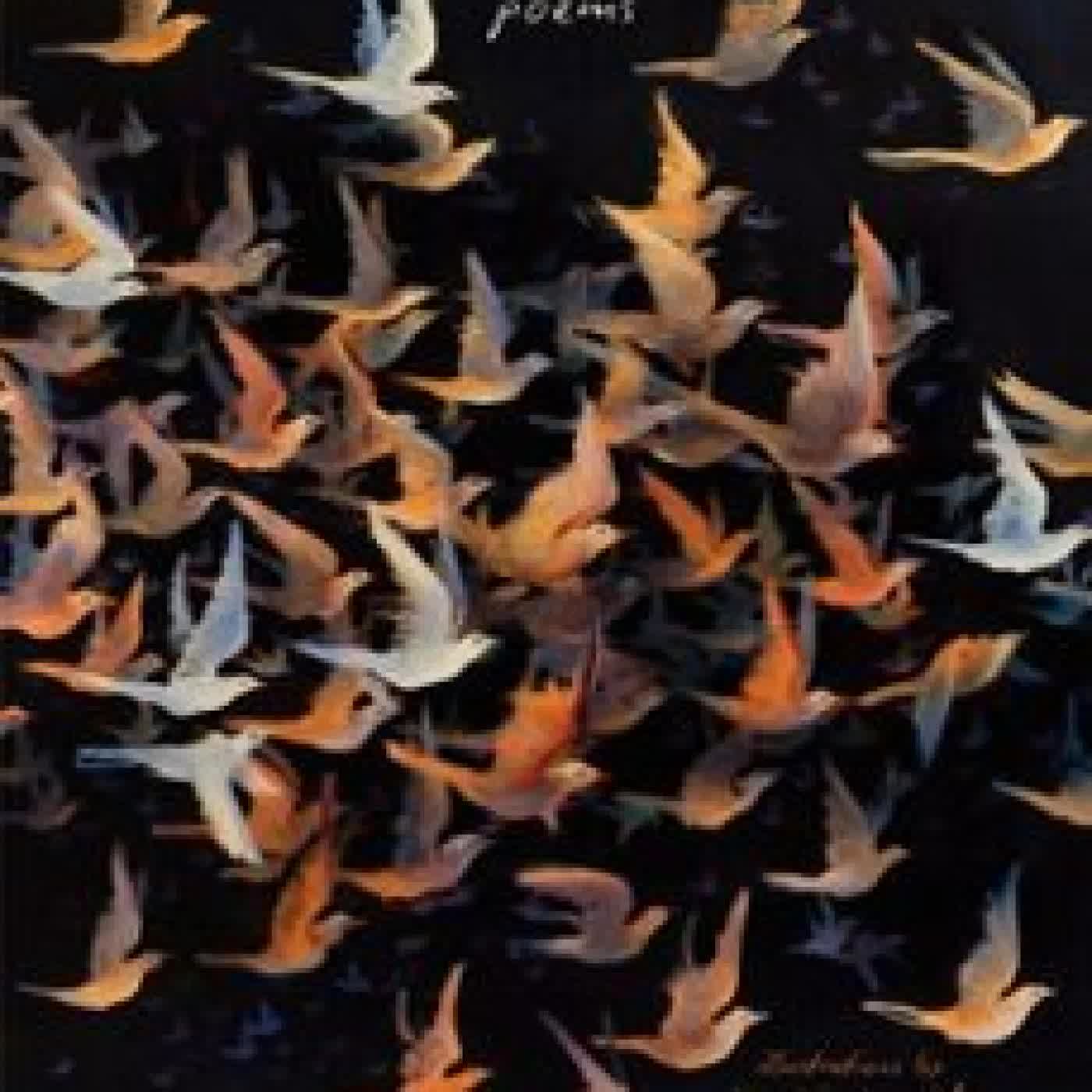BIRDS OF AMERICA CHERA HAMMONS