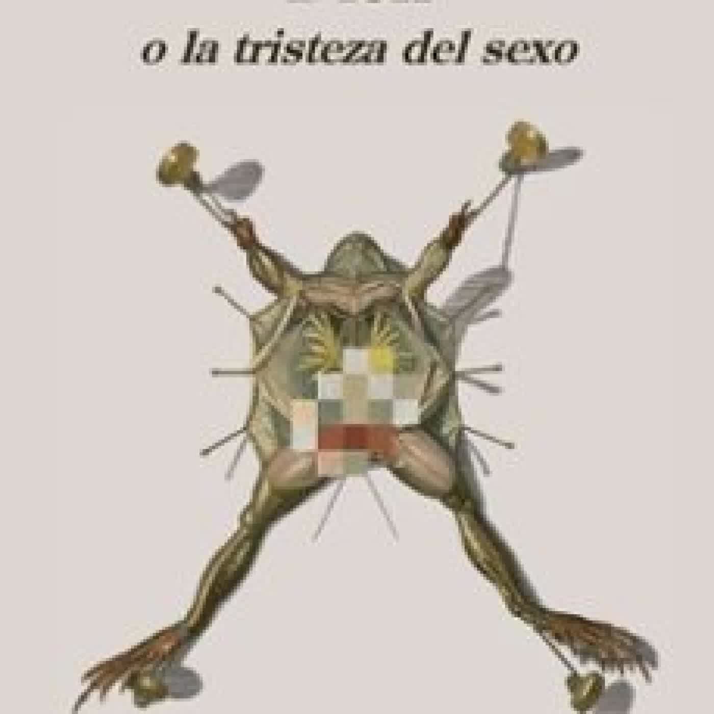 DICK O LA TRISTEZA DEL SEXO KIKO AMAT