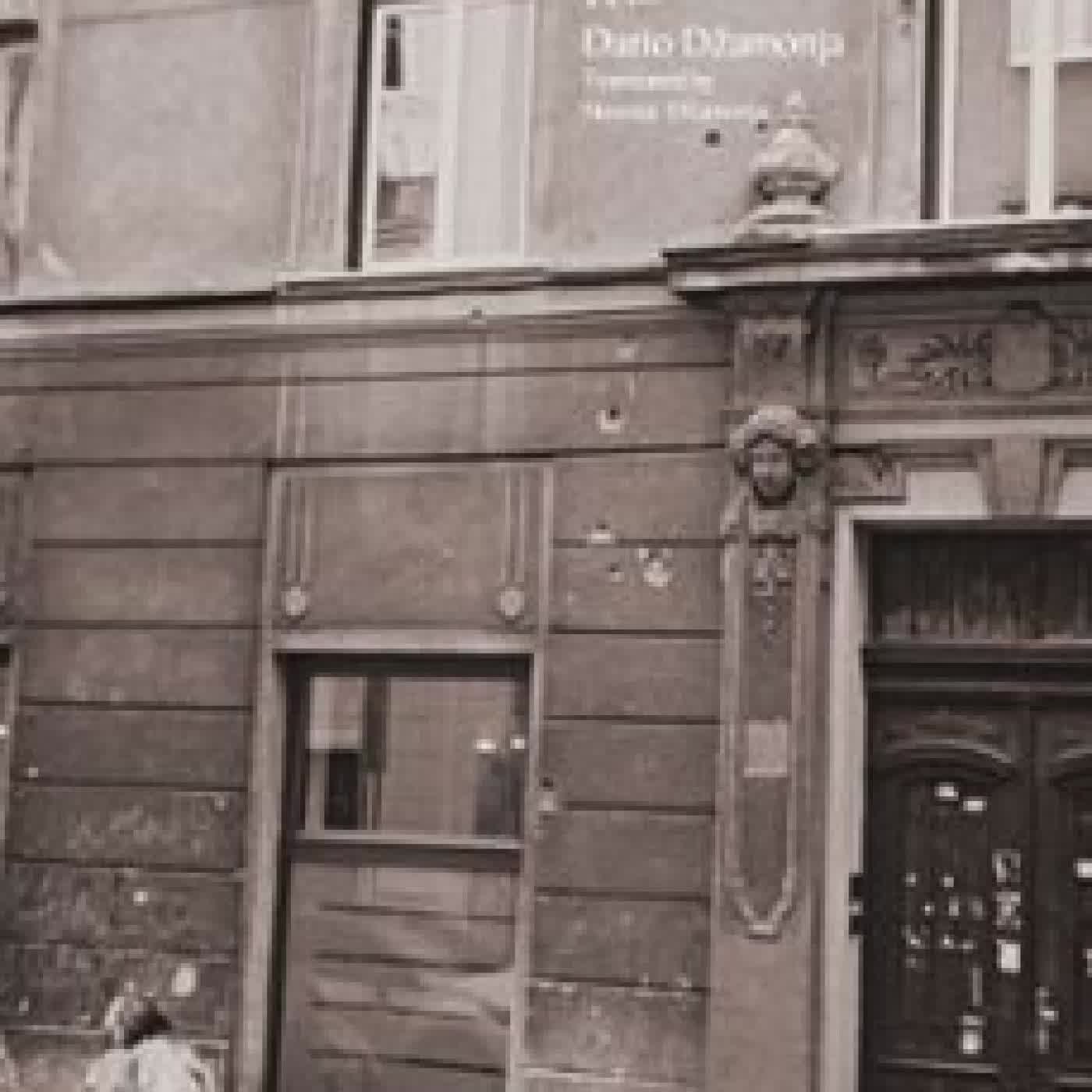 LETTERS FROM THE MADHOUSE DARIO DZAMONJA