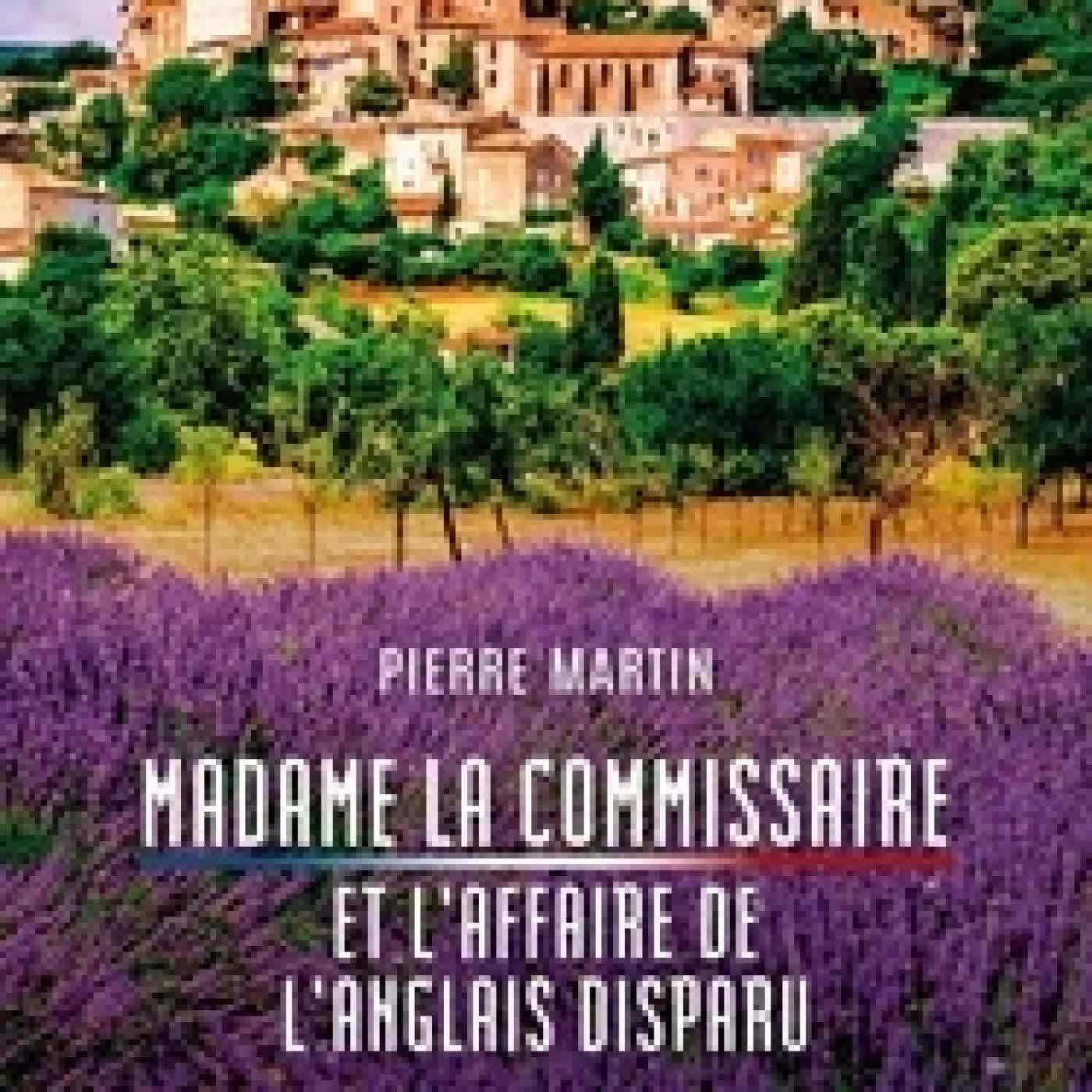 {téléchargement} Madame la commissaire et l'affaire de l'anglais disparu