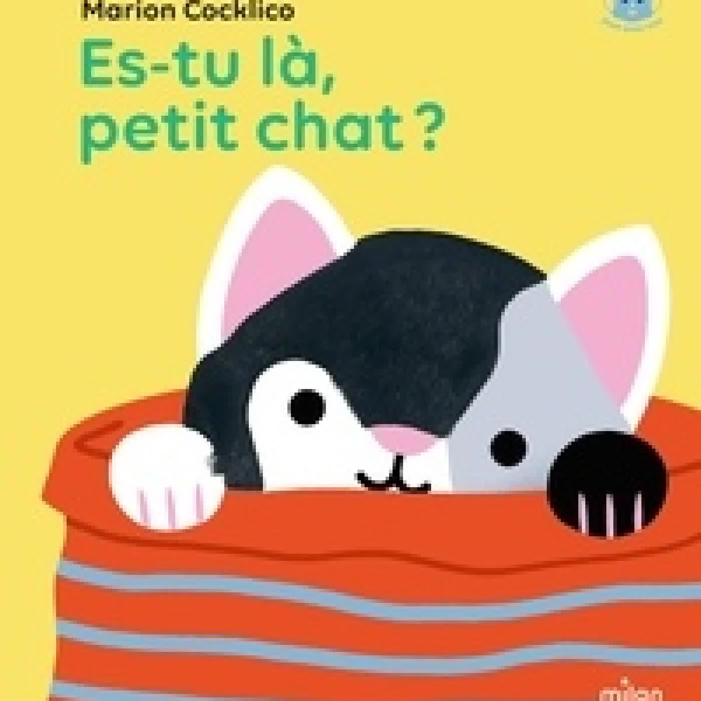 {téléchargement} Es-tu là, petit chat ?