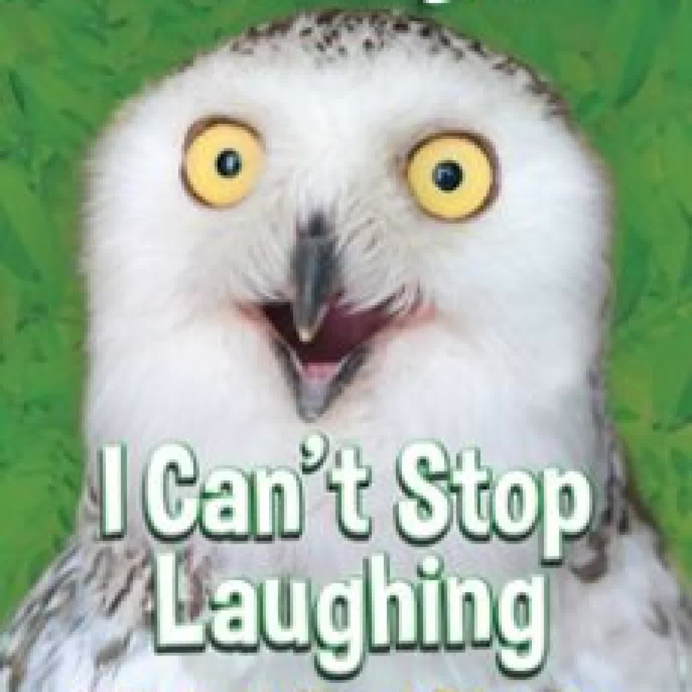 CHICKEN SOUP FOR THE SOUL: I CAN'T STOP LAUGHING AMY NEWMARK