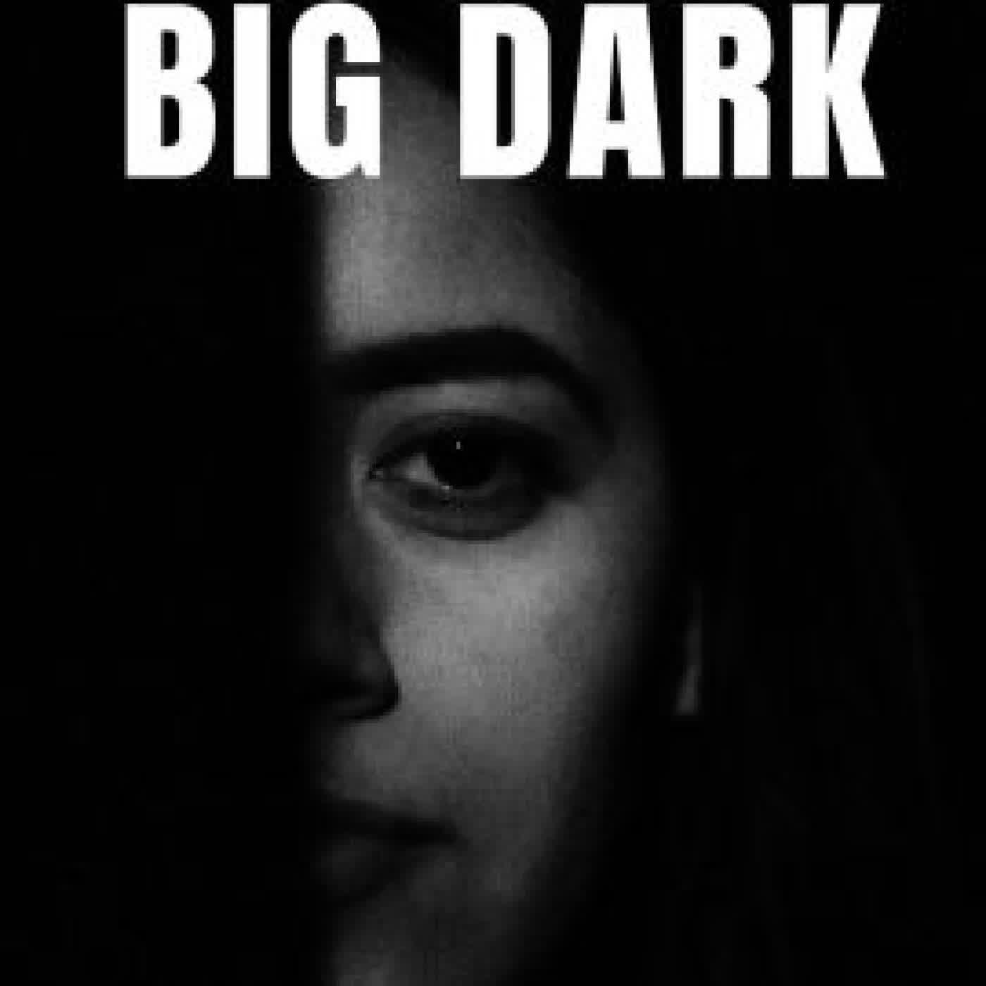 The Big Dark: A Memoir of Survival, Silence, and Finally, a Voice by Pamela Elaine Telford on Iphone New Format