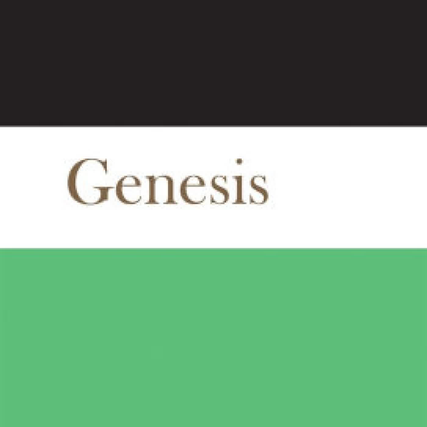 Read online: Genesis: A Commentary by David L. Petersen