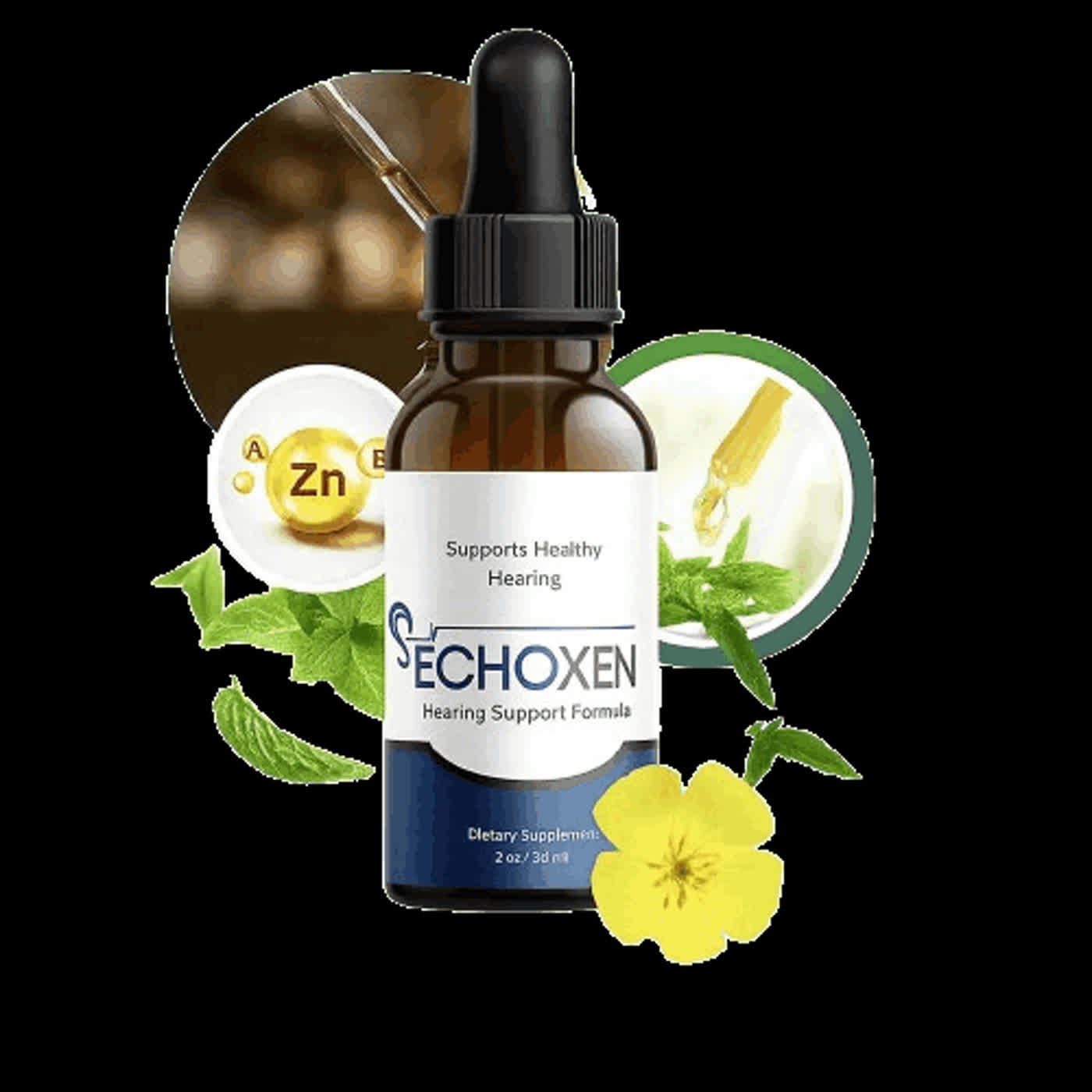 GetEchoxen Review - Should You Buy?