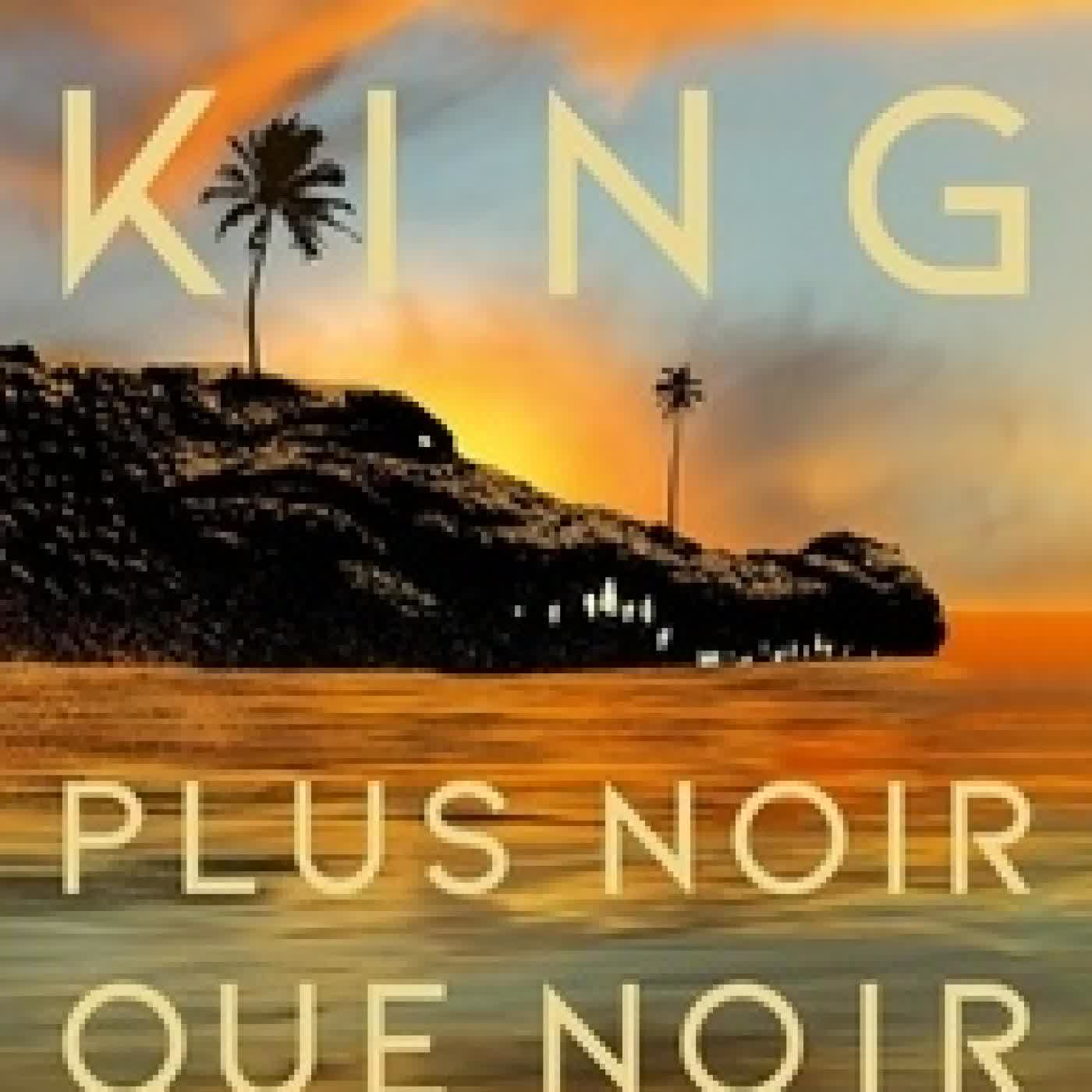 Lire en ligne : Plus noir que noir