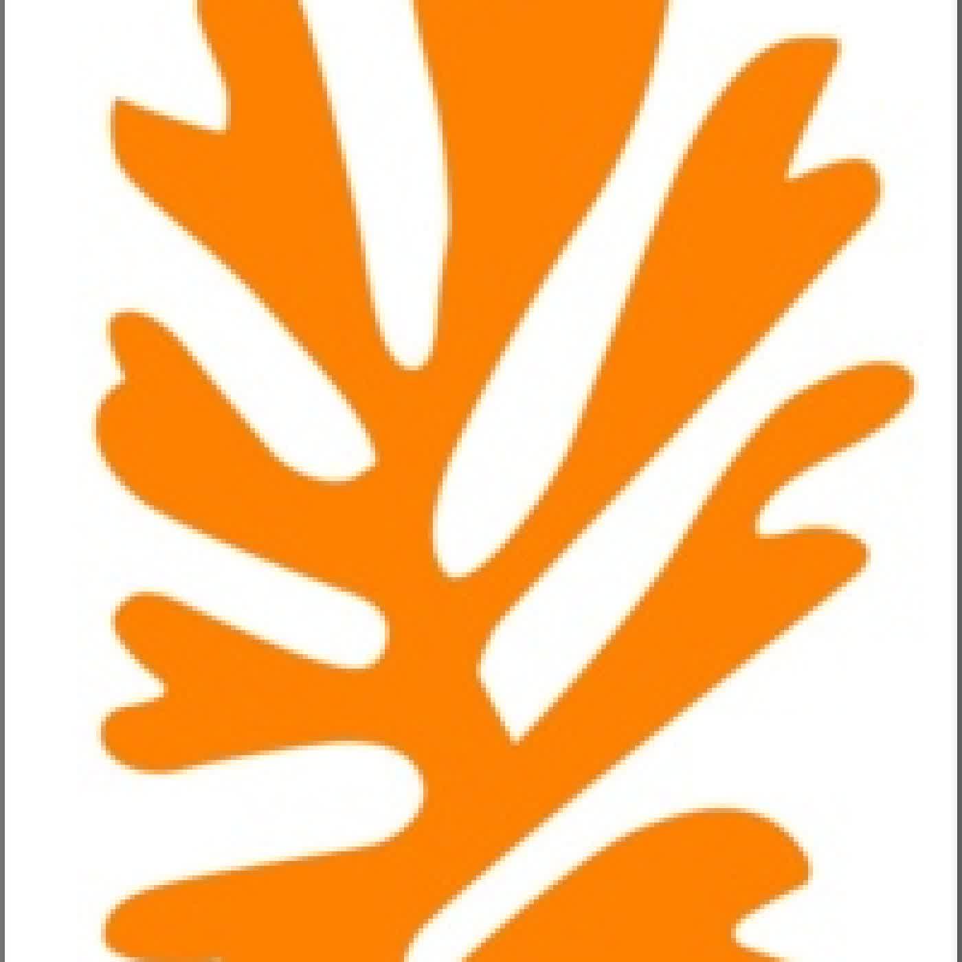 Lire en ligne : Matisse. 1941-1954
