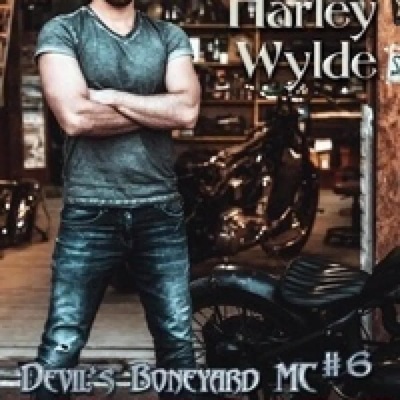 {téléchargement} Renegade - Devil's Boneyard MC, #6