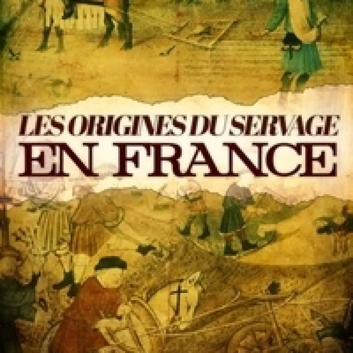 Lire en ligne : Les origines du servage en France