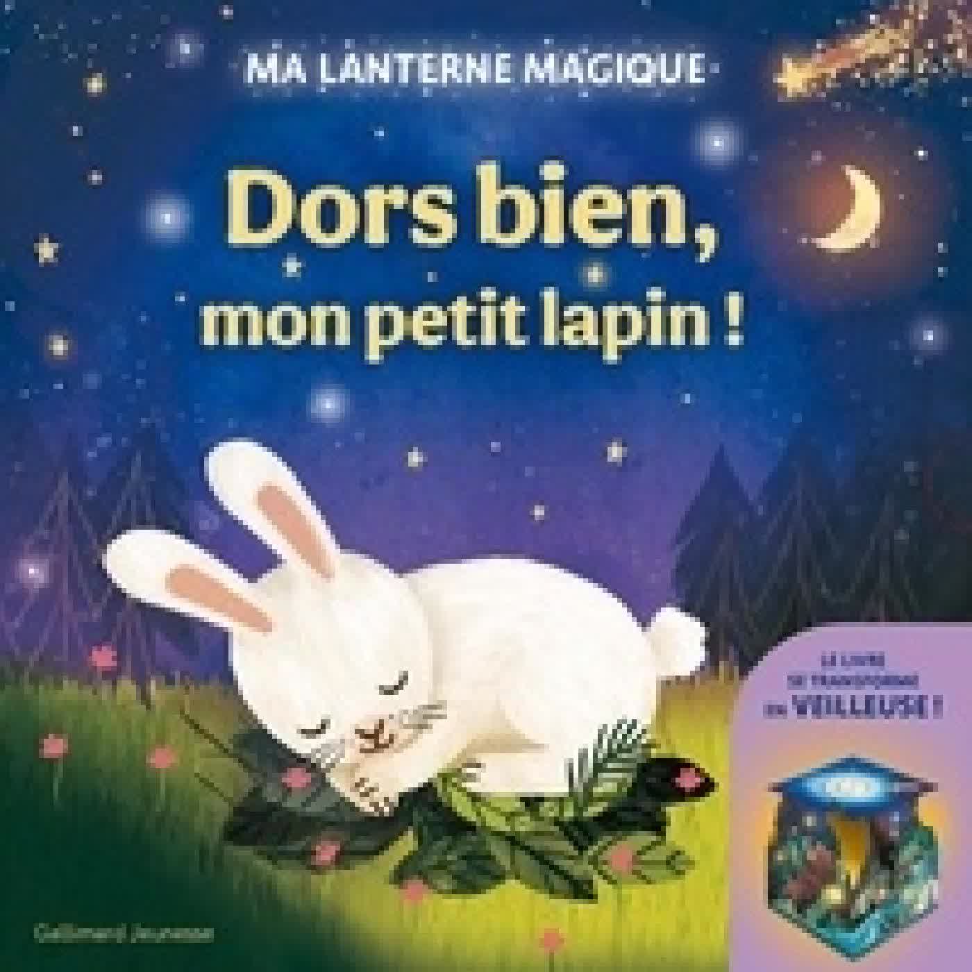 Télécharger Pdf Dors bien, mon petit lapin !. Ma lanterne magique