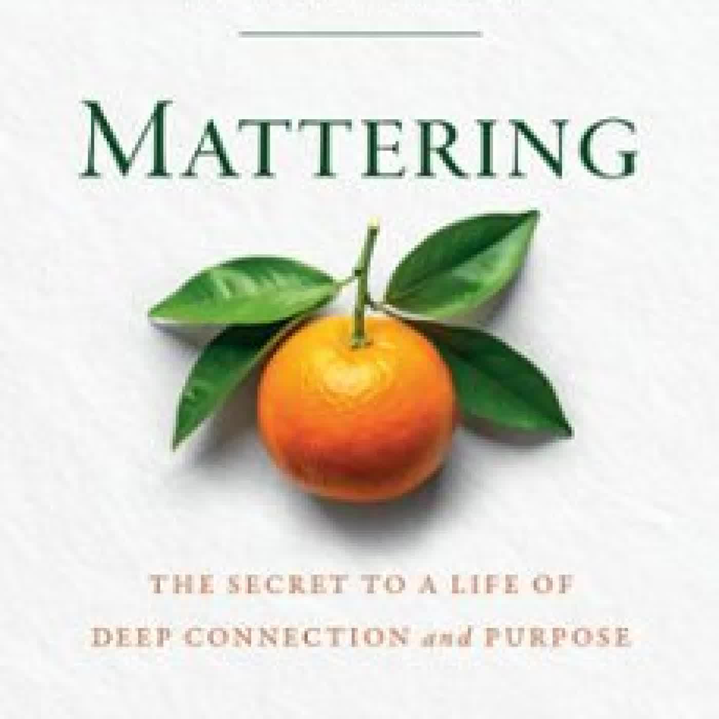 MATTERING JENNIFER BREHENY WALLACE