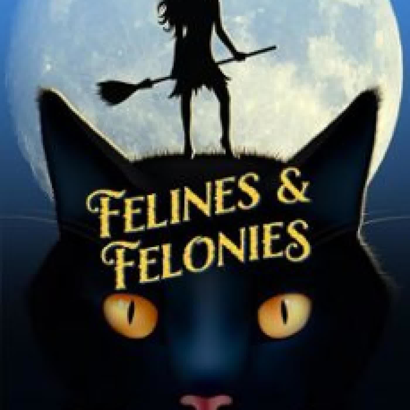 FELINES AND FELONIES NICOLETTE PIERCE