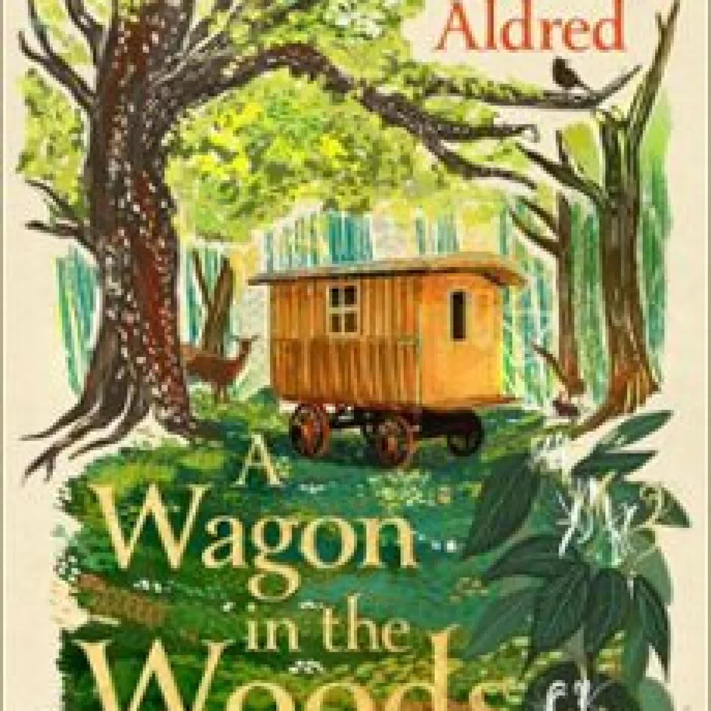 A WAGON IN THE WOODS JAMES ALDRED