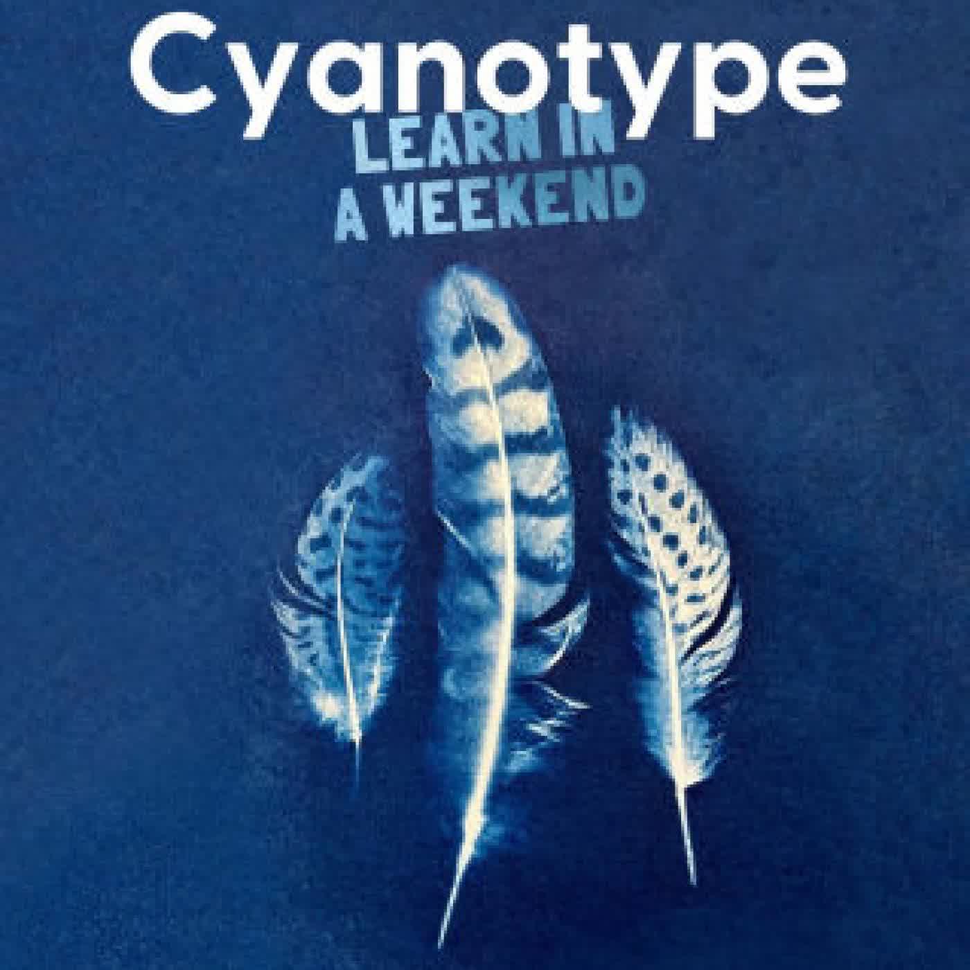 Cyanotype: Learn in a Weekend by Victoria Glover on Iphone New Format