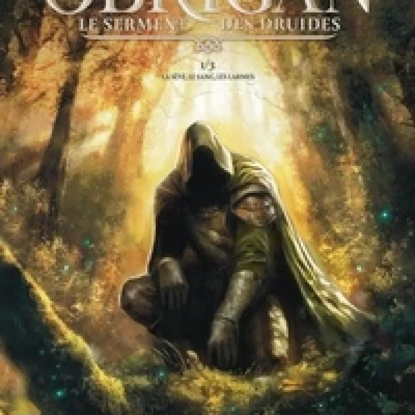 Télécharger Pdf Obrigan - Le serment des Druides Tome 1La sève, le sang, les larmes
