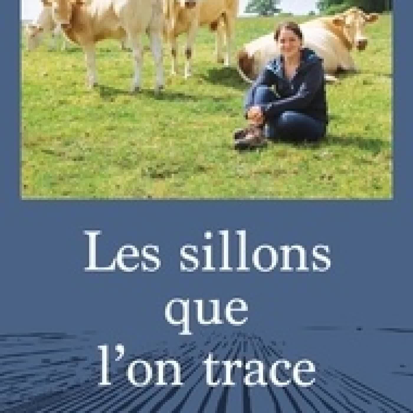{téléchargement} Les sillons que l'on trace