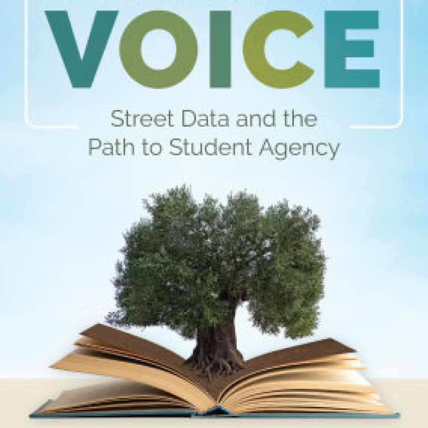 Read online: Pedagogies of Voice: Street Data and the Path to Student Agency by Shane Safir