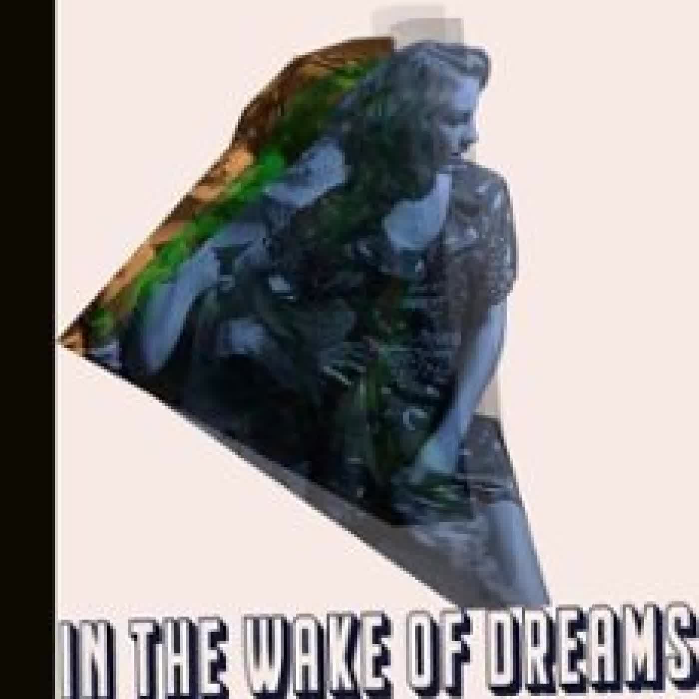 IN THE WAKE OF DREAMS RICARDO JOSE ROMEU