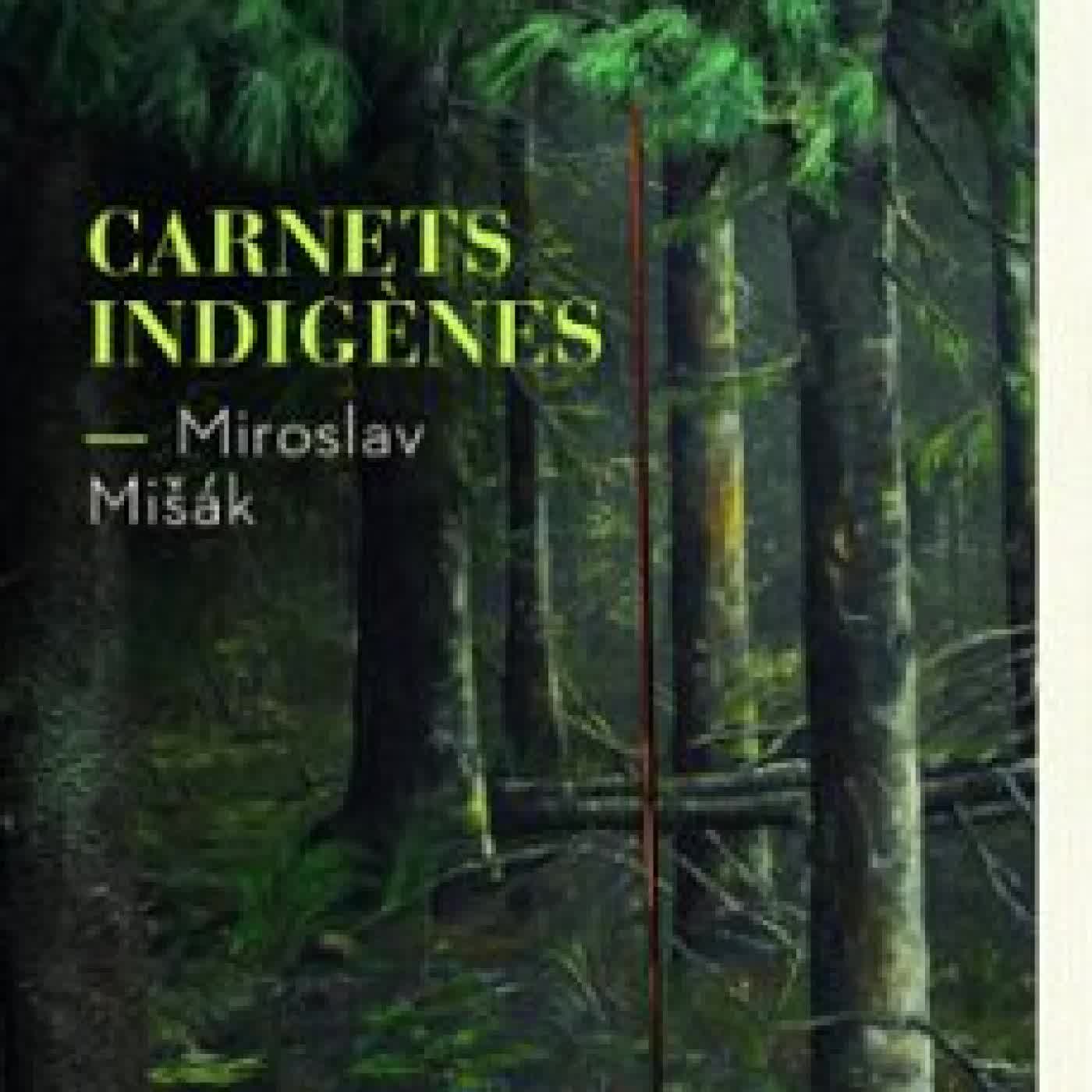 CARNETS INDIGÈNES MIROSLAV MISAK