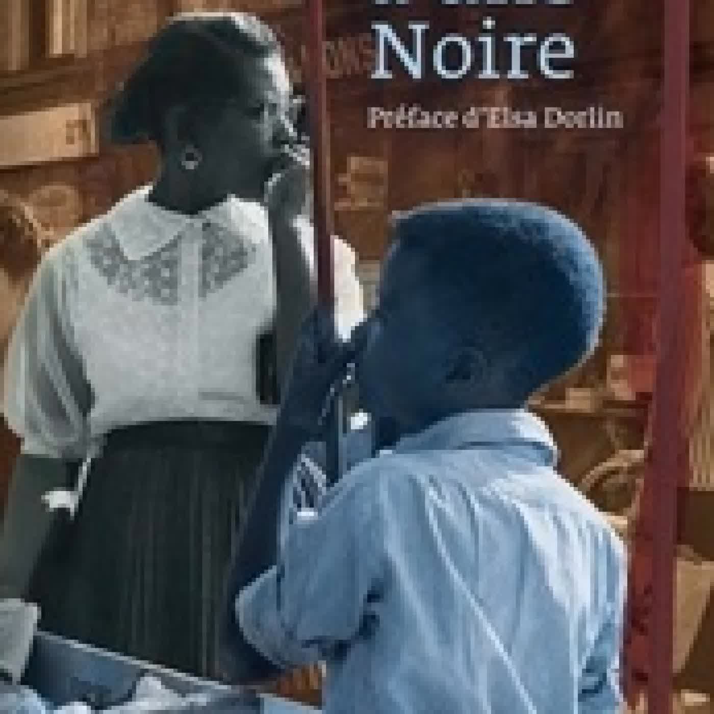 Lire en ligne : Lettres à une Noire - Récit antillais