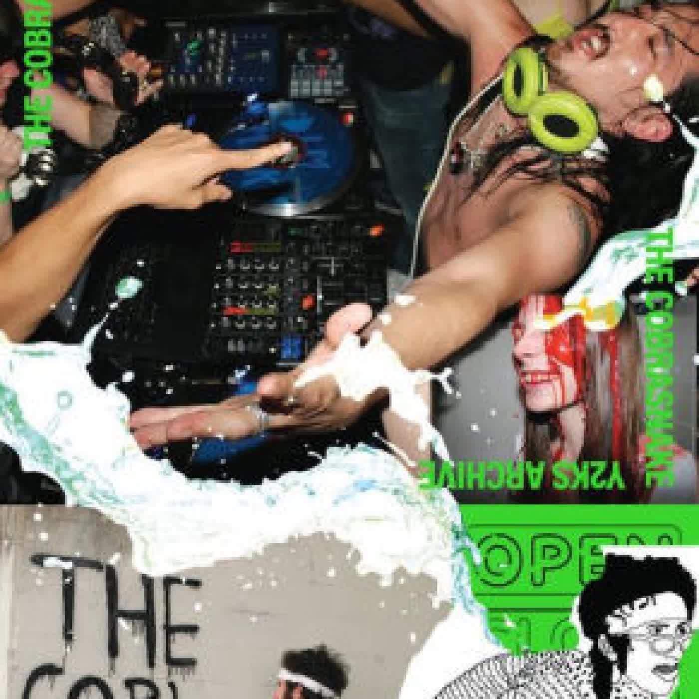 Read online: The Cobrasnake: Y2Ks Archive by Mark Hunter