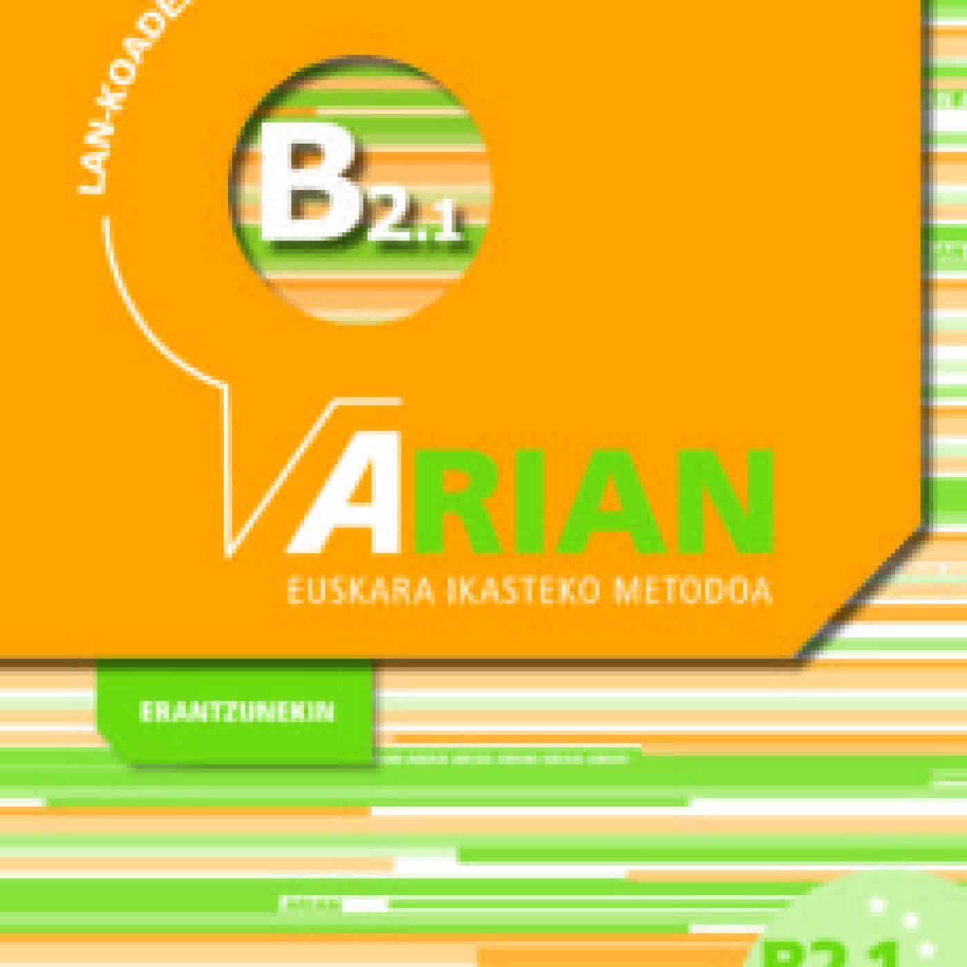 ARIAN B2.1 LAN KOADERNOA BATZUK