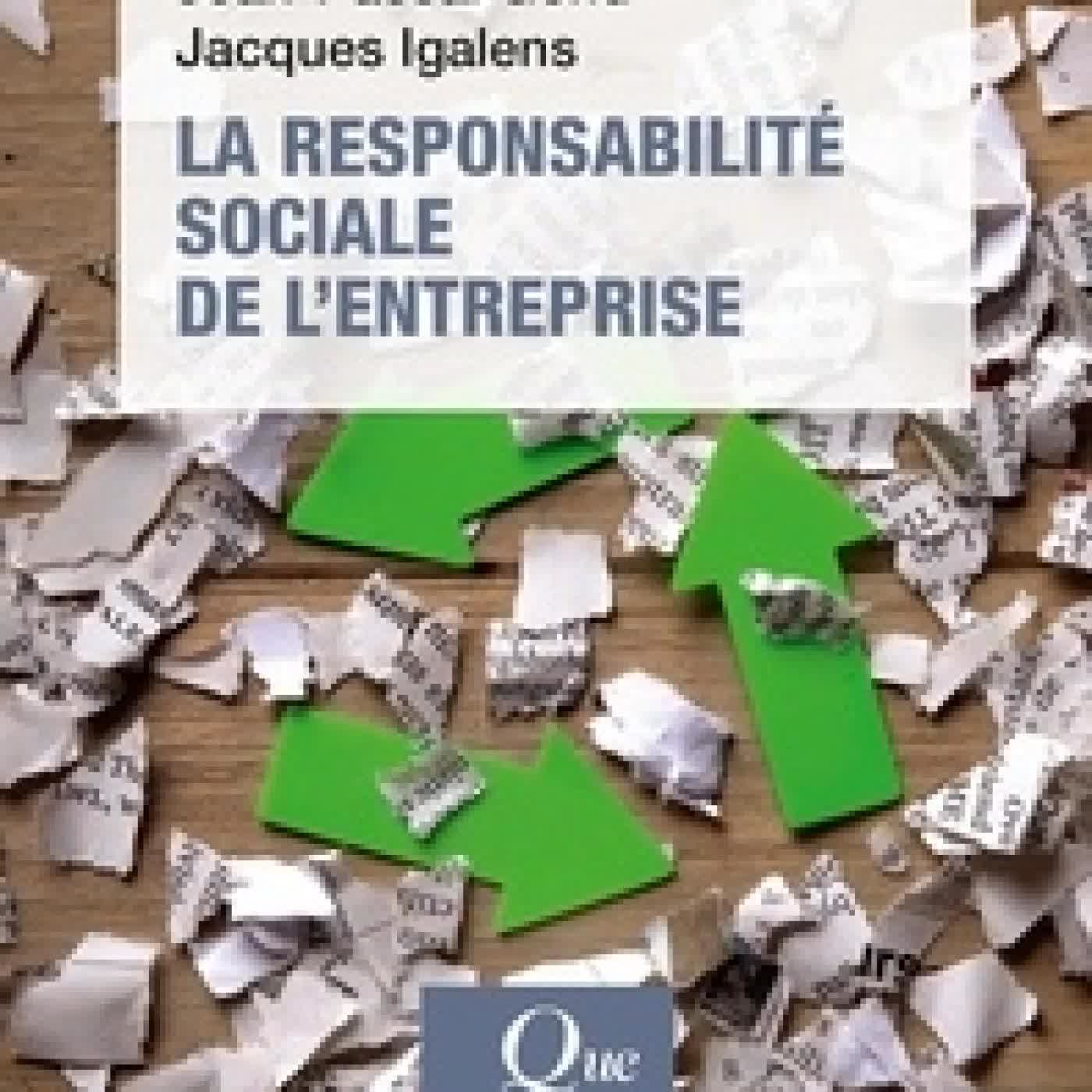 Télécharger Pdf La responsabilité sociale de l'entreprise