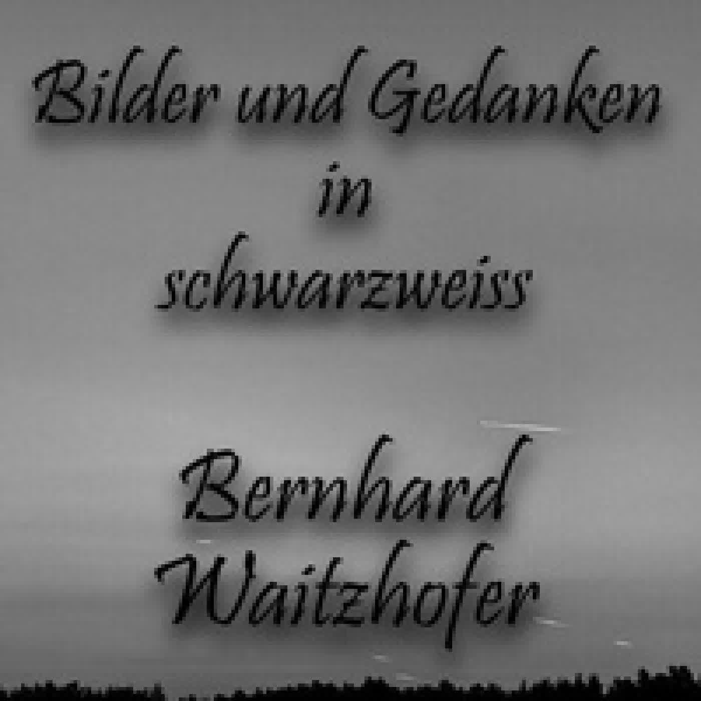 Télécharger Pdf Bilder und Gedanken in schwarzweiss