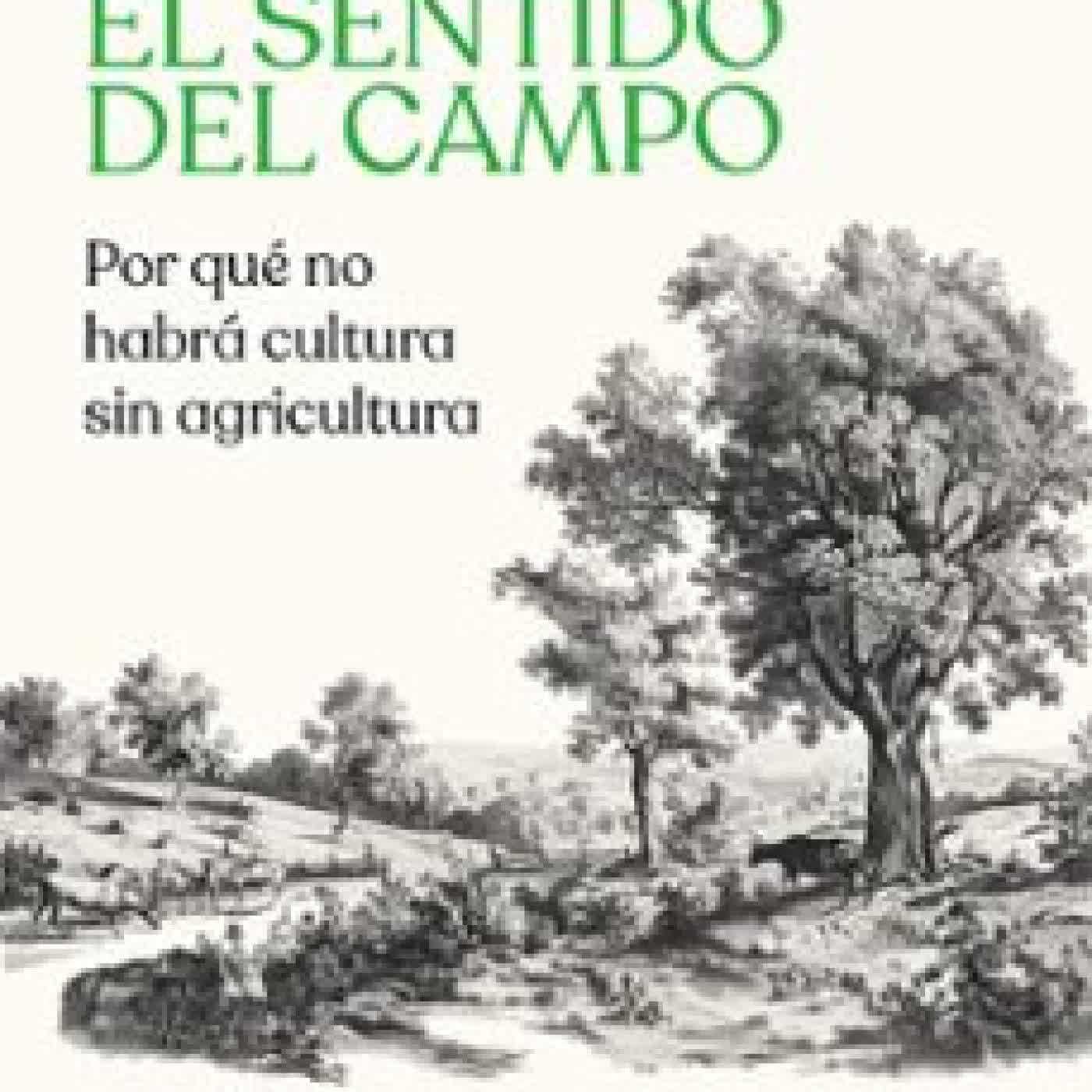 EL SENTIDO DEL CAMPO JULIO LLORENTE